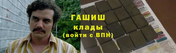 стафф Богданович