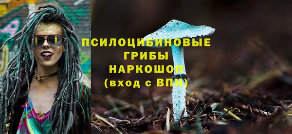 2c-b Няндома