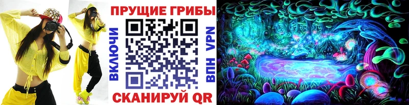 Галлюциногенные грибы Psilocybe Саров