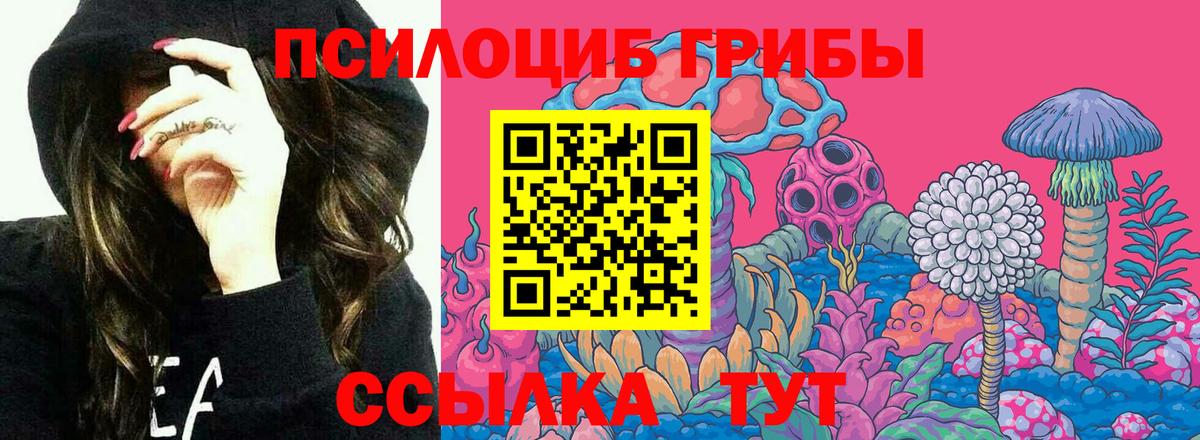 Псилоцибиновые грибы Psilocybine cubensis Саров