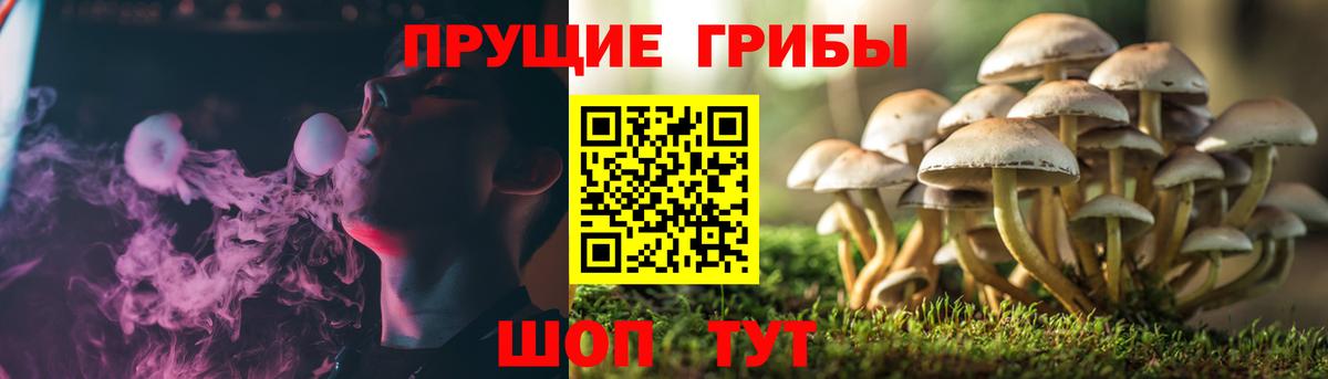 МЕФ  Ляпка  Марихуана  Саров  COCAIN  Бошки Шишки  Вход с VPN  А ПВП 